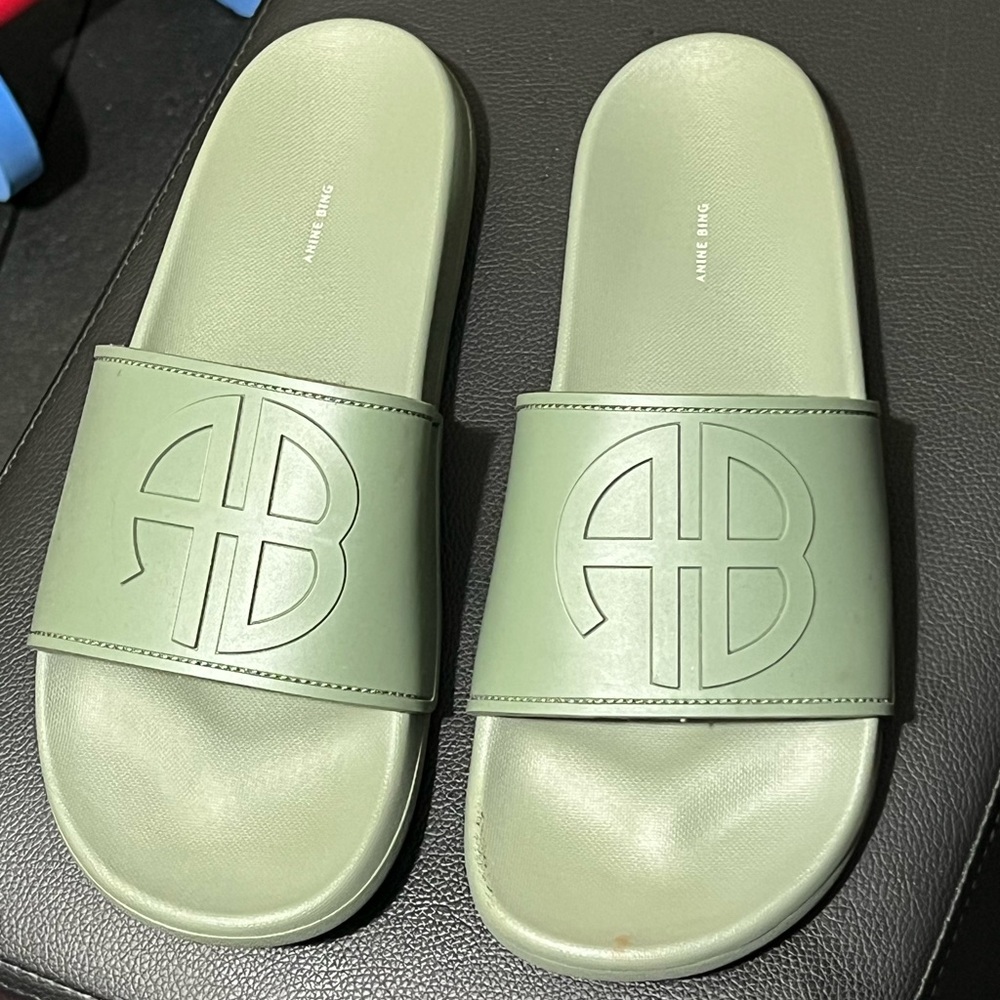 Anine Bing Sage Green Slides